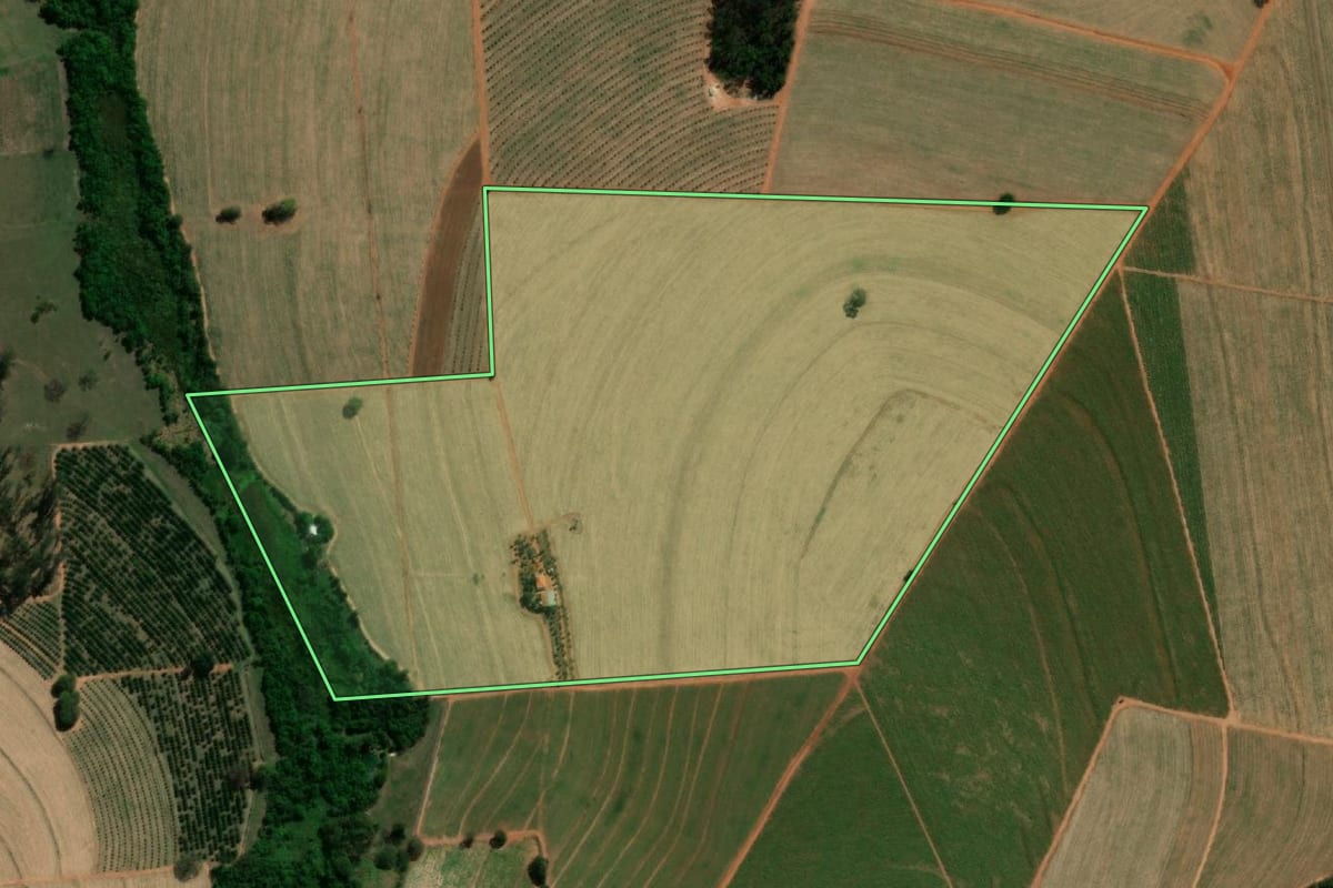 Imagem de satélite do imóvel rural em Taquaritinga (SP), com o contorno declarado no CAR desenhado por cima.