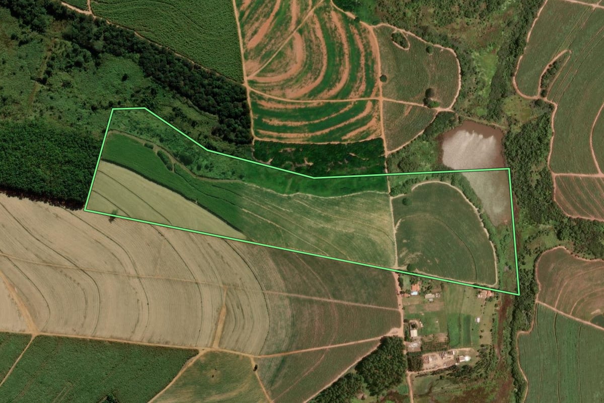 Imagem de satélite do imóvel rural em Taquaritinga (SP), com o contorno declarado no CAR desenhado por cima.