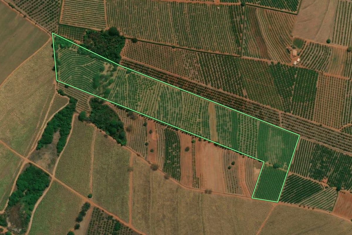 Imagem de satélite do imóvel rural em Taquaritinga (SP), com o contorno declarado no CAR desenhado por cima.
