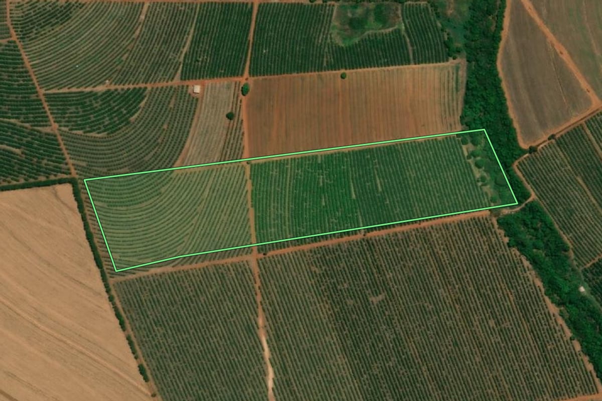 Imagem de satélite do imóvel rural em Taquaritinga (SP), com o contorno declarado no CAR desenhado por cima.