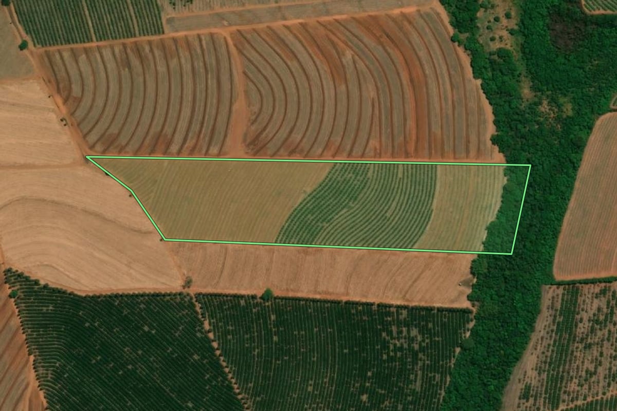 Imagem de satélite do imóvel rural em Taquaritinga (SP), com o contorno declarado no CAR desenhado por cima.