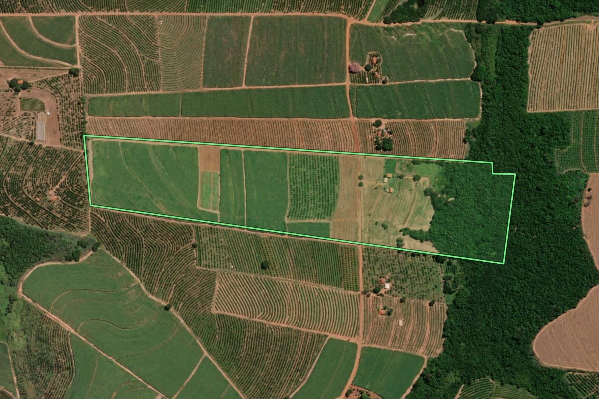Imagem de satélite do imóvel rural em Taquaritinga (SP), com o contorno declarado no CAR desenhado por cima.