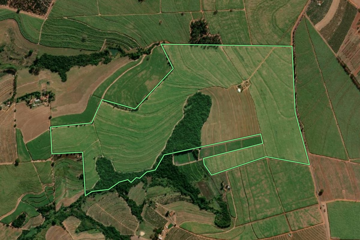 Imagem de satélite do imóvel rural em Taquaritinga (SP), com o contorno declarado no CAR desenhado por cima.