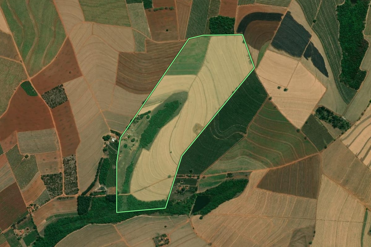Imagem de satélite do imóvel rural em Taquaritinga (SP), com o contorno declarado no CAR desenhado por cima.