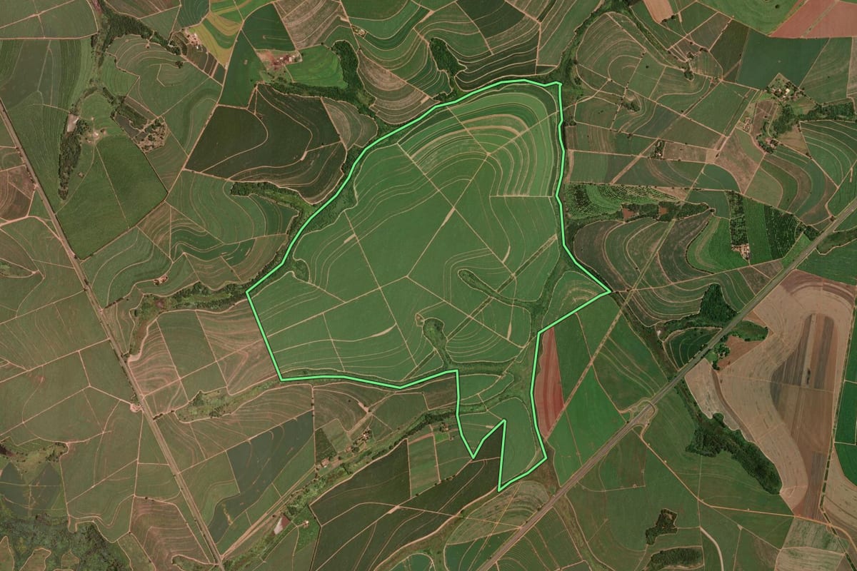 Imagem de satélite do imóvel rural em Taquaritinga (SP), com o contorno declarado no CAR desenhado por cima.