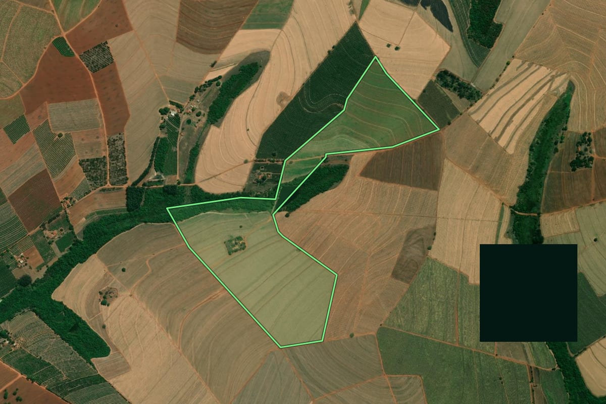 Imagem de satélite do imóvel rural em Taquaritinga (SP), com o contorno declarado no CAR desenhado por cima.
