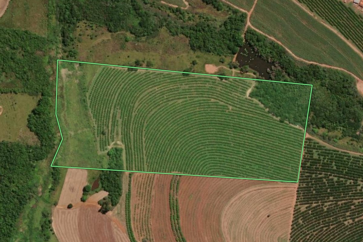 Imagem de satélite do imóvel rural em Taquaritinga (SP), com o contorno declarado no CAR desenhado por cima.