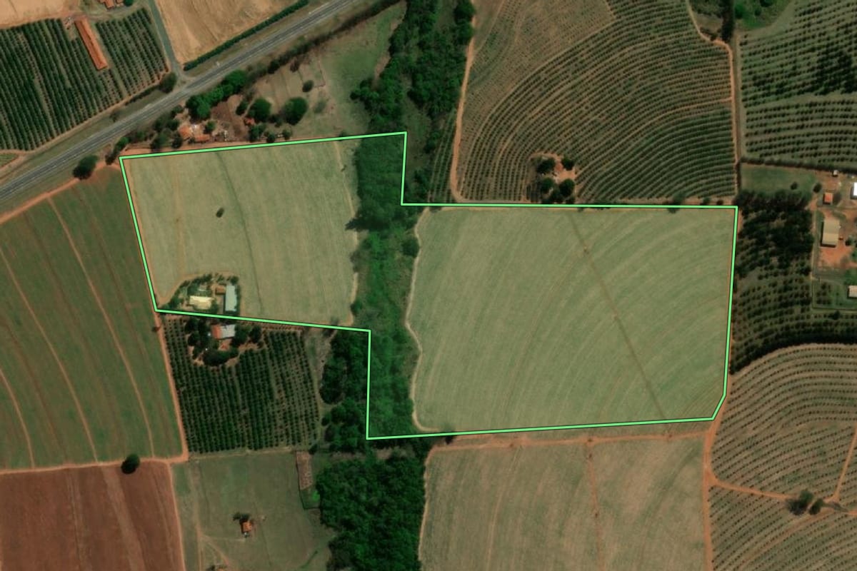 Imagem de satélite do imóvel rural em Taquaritinga (SP), com o contorno declarado no CAR desenhado por cima.