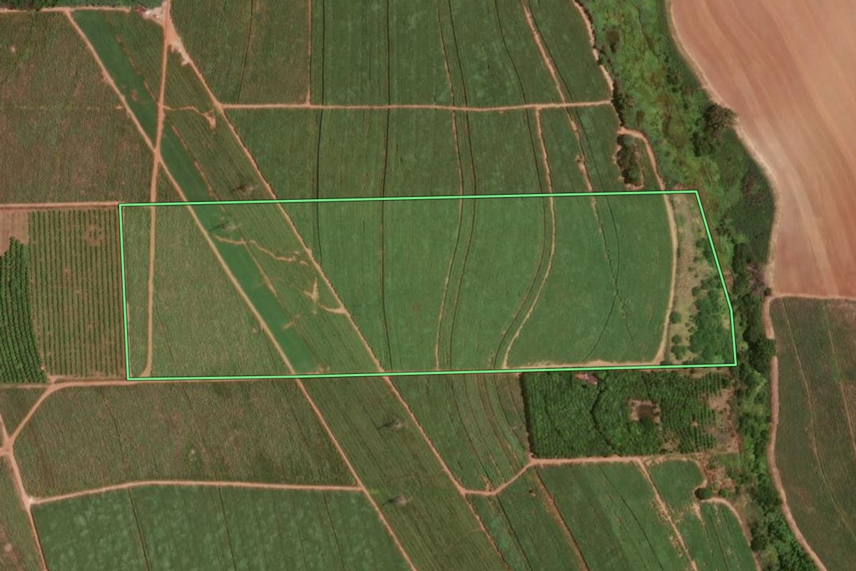 Imagem de satélite do imóvel rural em Taquaritinga (SP), com o contorno declarado no CAR desenhado por cima.