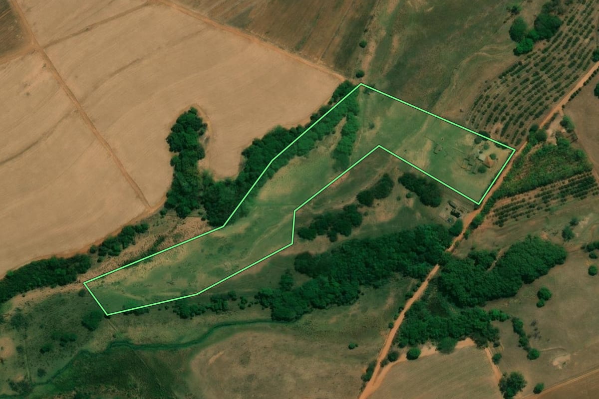 Imagem de satélite do imóvel rural em Taquaritinga (SP), com o contorno declarado no CAR desenhado por cima.