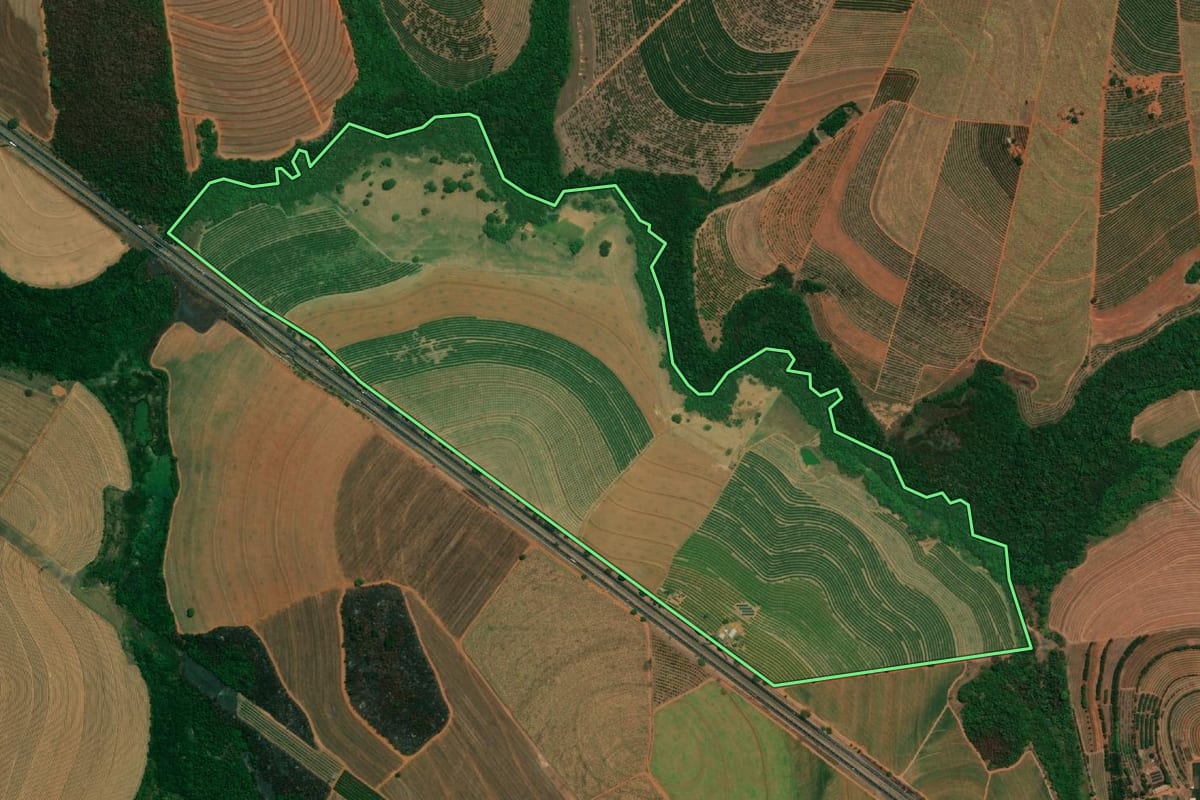 Imagem de satélite do imóvel rural em Taquaritinga (SP), com o contorno declarado no CAR desenhado por cima.