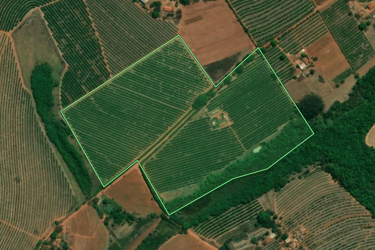 Imagem de satélite do imóvel rural em Taquaritinga (SP), com o contorno declarado no CAR desenhado por cima.