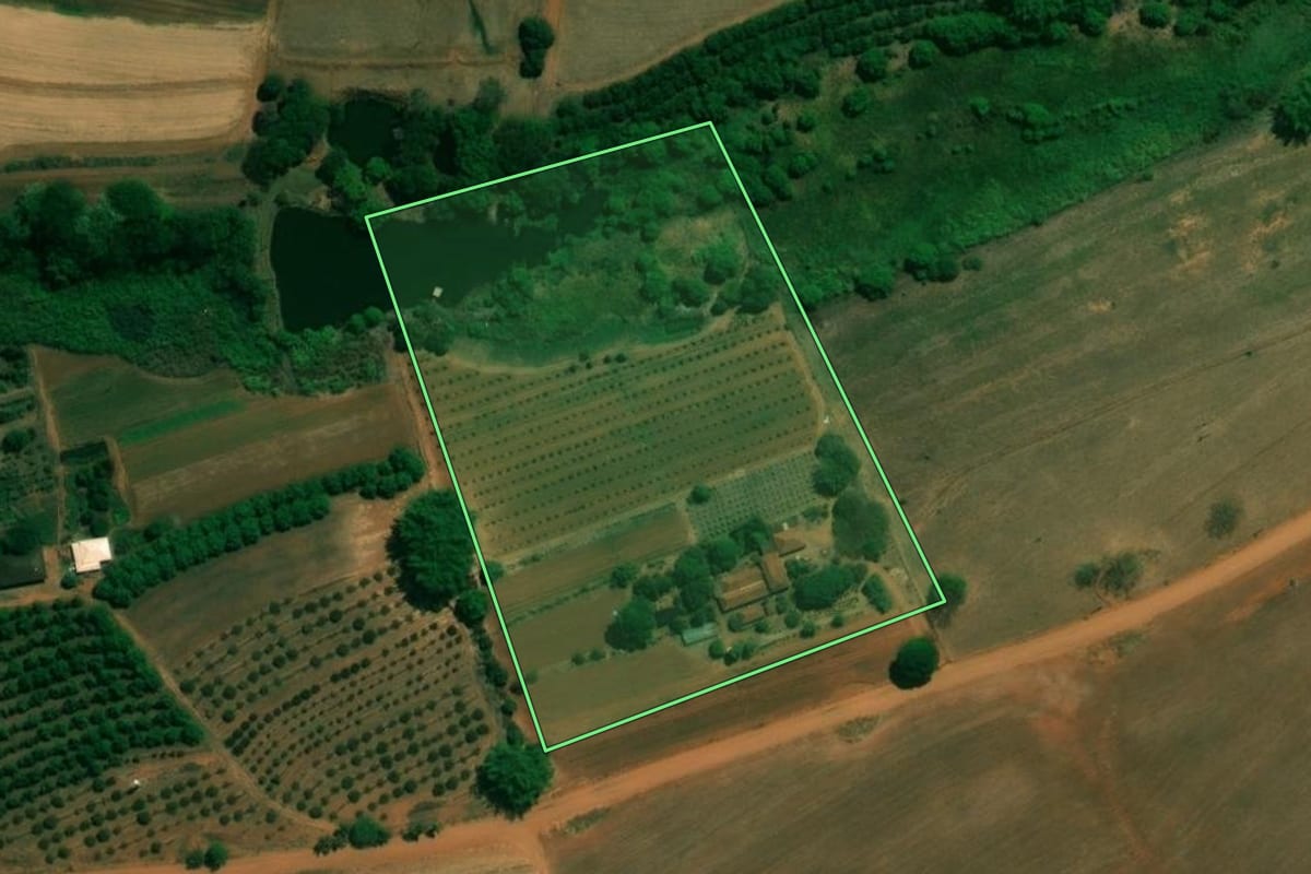 Imagem de satélite do imóvel rural em Taquaritinga (SP), com o contorno declarado no CAR desenhado por cima.