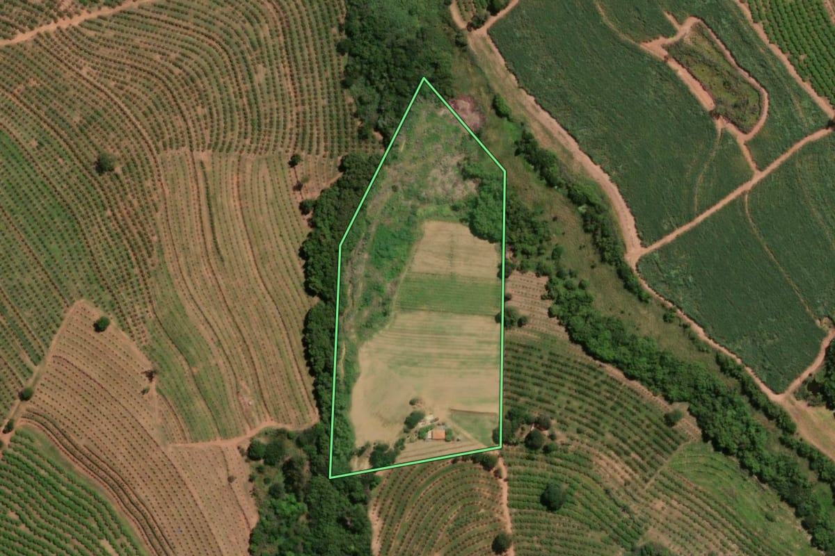 Imagem de satélite do imóvel rural em Taquaritinga (SP), com o contorno declarado no CAR desenhado por cima.