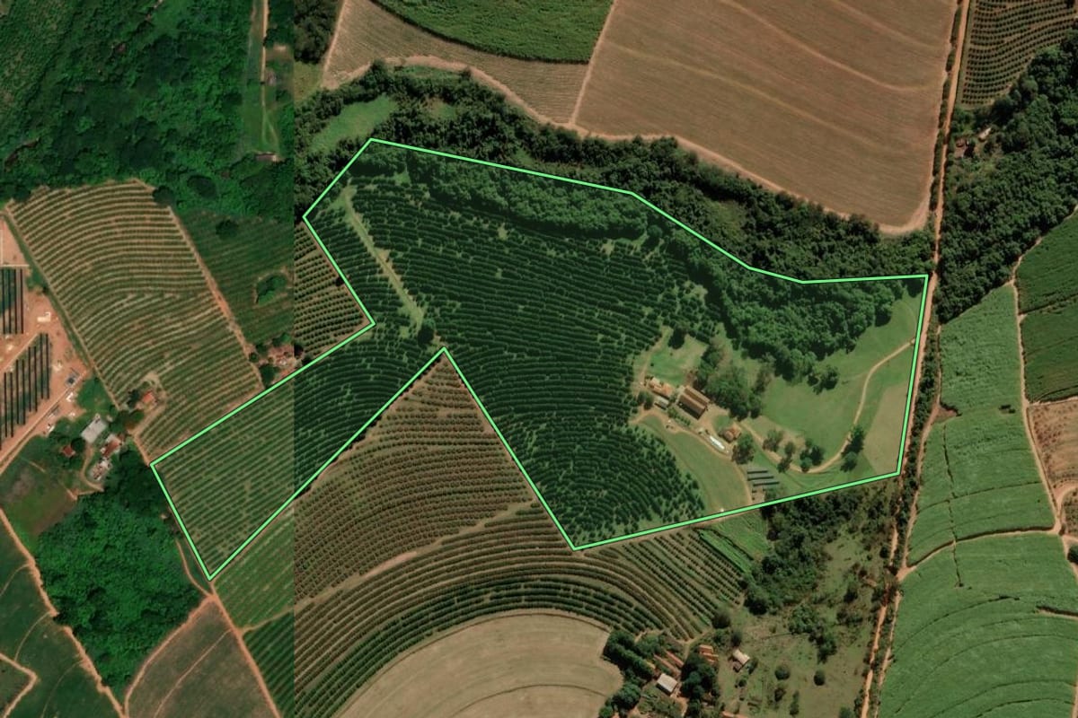 Imagem de satélite do imóvel rural em Taquaritinga (SP), com o contorno declarado no CAR desenhado por cima.