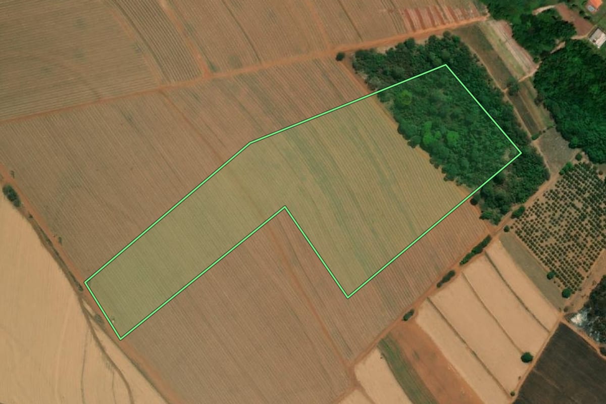 Imagem de satélite do imóvel rural em Taquaritinga (SP), com o contorno declarado no CAR desenhado por cima.