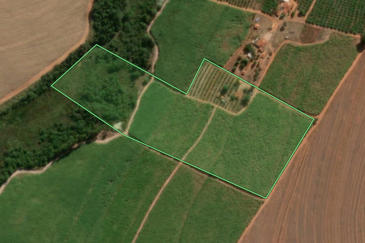 Imagem de satélite do imóvel rural em Taquaritinga (SP), com o contorno declarado no CAR desenhado por cima.