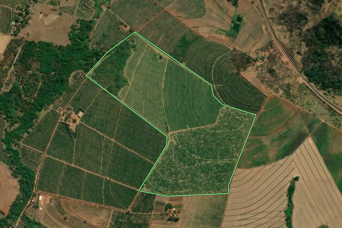 Imagem de satélite do imóvel rural em Taquaritinga (SP), com o contorno declarado no CAR desenhado por cima.