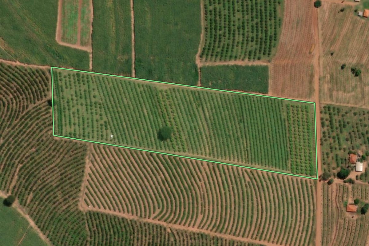 Imagem de satélite do imóvel rural em Taquaritinga (SP), com o contorno declarado no CAR desenhado por cima.