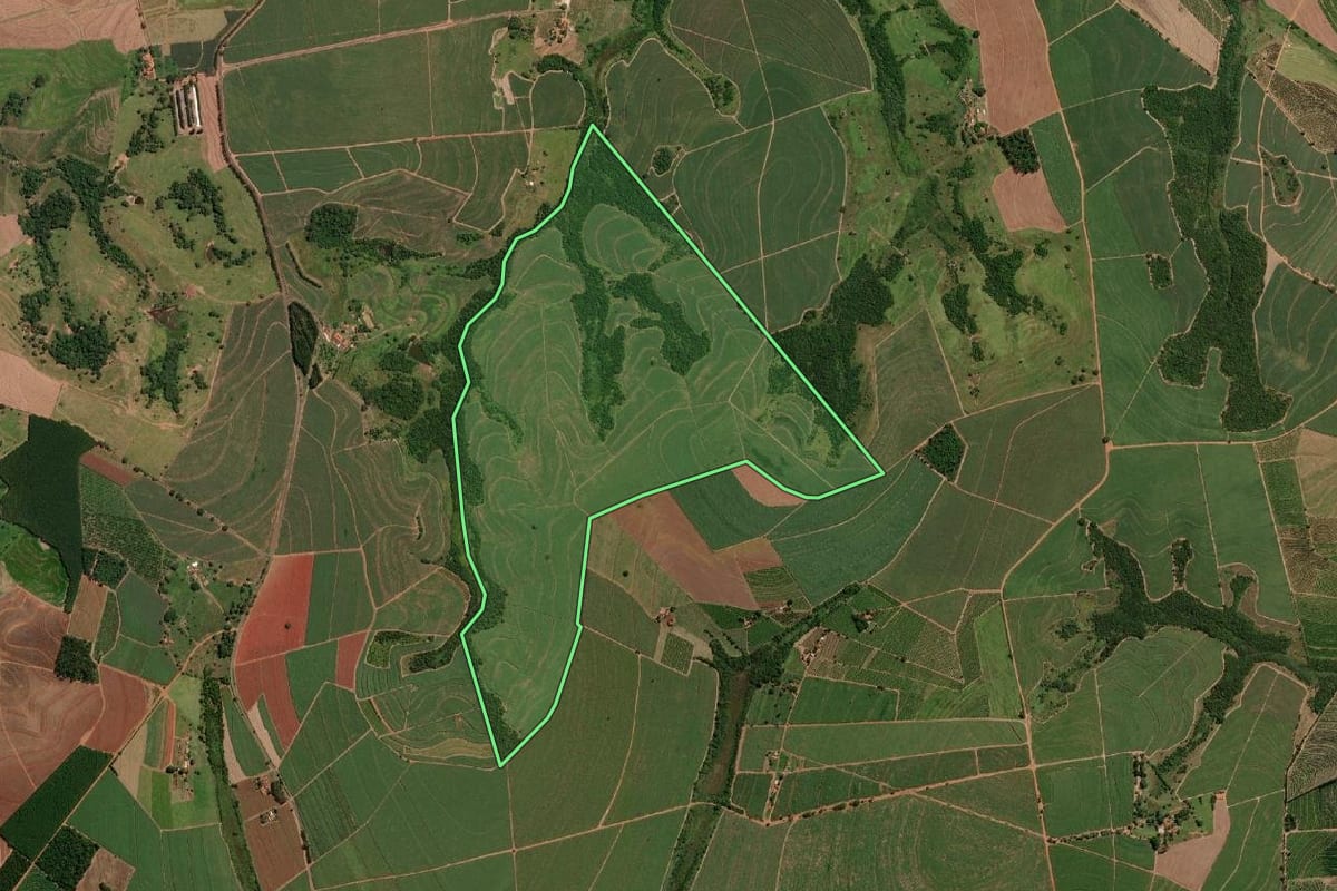 Imagem de satélite do imóvel rural em Taquaritinga (SP), com o contorno declarado no CAR desenhado por cima.