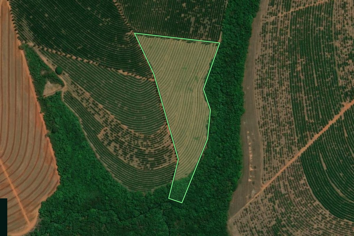 Imagem de satélite do imóvel rural em Taquaritinga (SP), com o contorno declarado no CAR desenhado por cima.