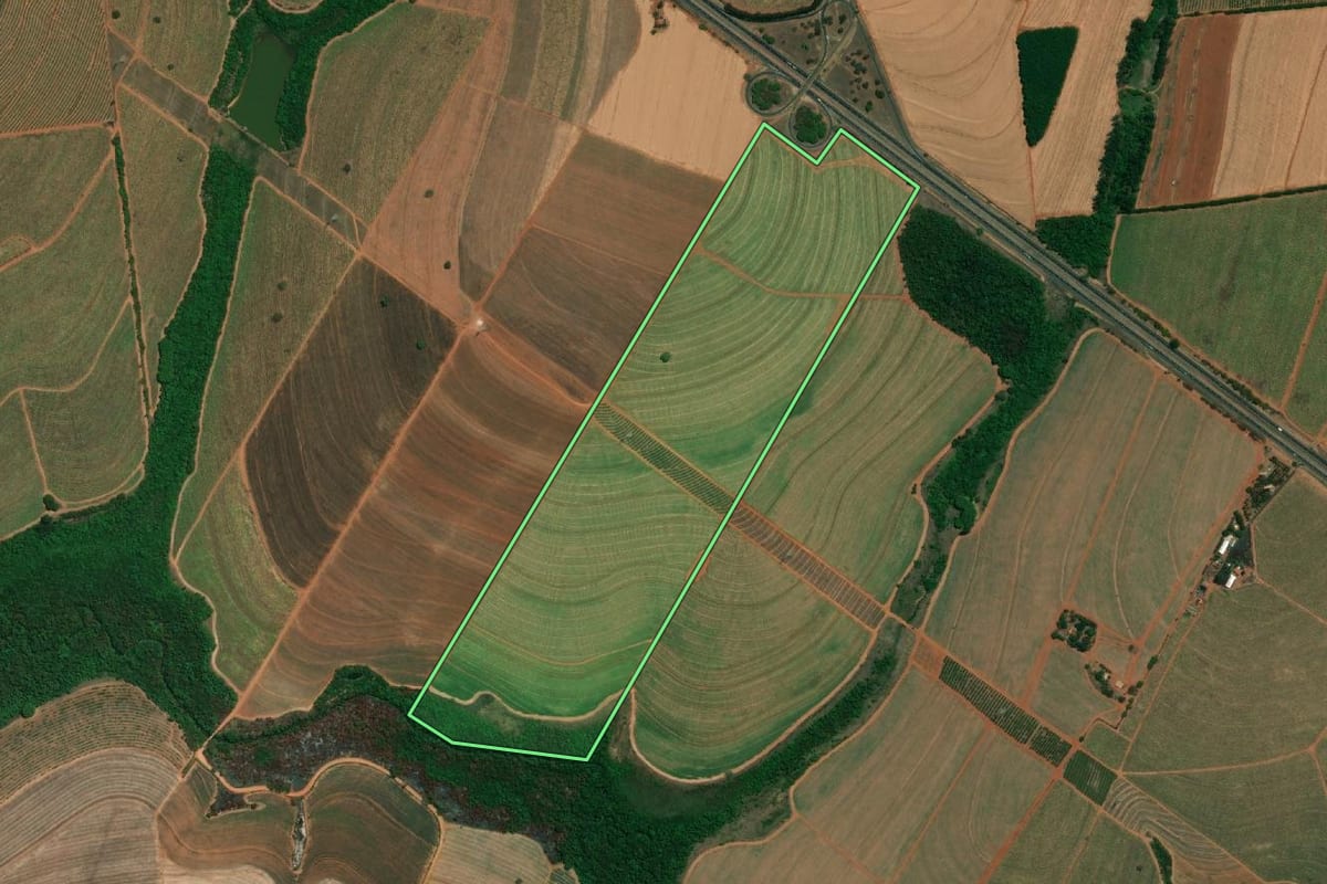Imagem de satélite do imóvel rural em Taquaritinga (SP), com o contorno declarado no CAR desenhado por cima.