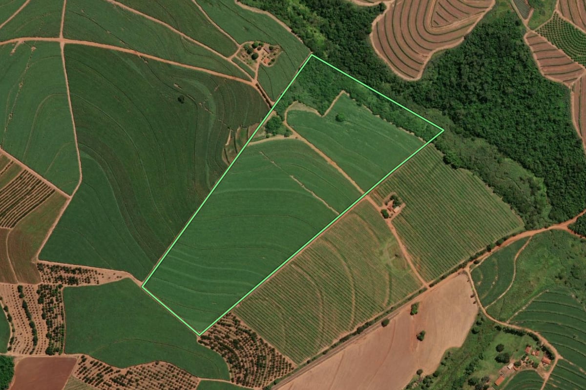 Imagem de satélite do imóvel rural em Taquaritinga (SP), com o contorno declarado no CAR desenhado por cima.