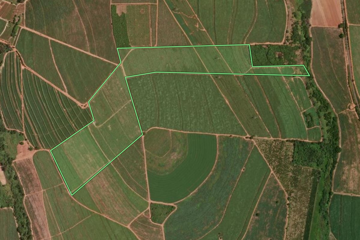 Imagem de satélite do imóvel rural em Taquaritinga (SP), com o contorno declarado no CAR desenhado por cima.