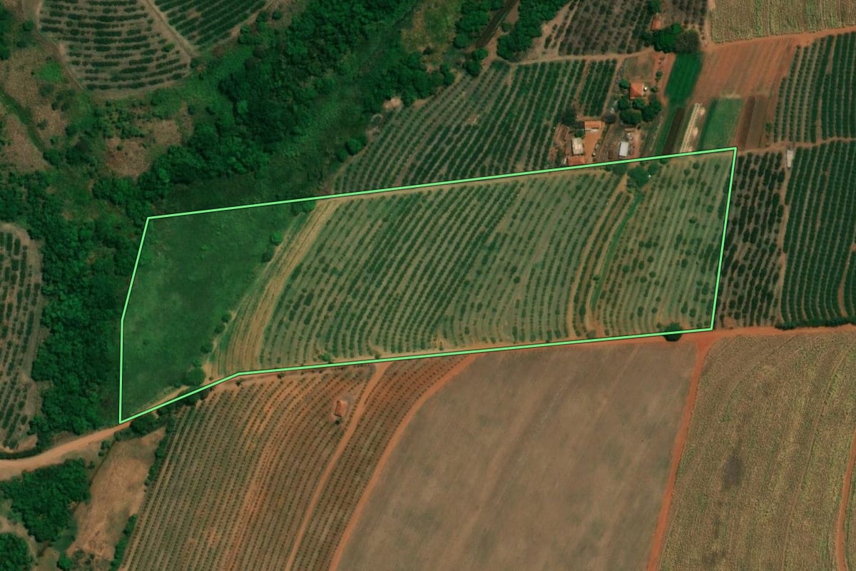 Imagem de satélite do imóvel rural em Taquaritinga (SP), com o contorno declarado no CAR desenhado por cima.