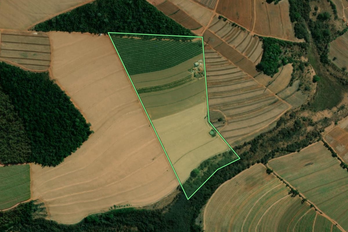 Imagem de satélite do imóvel rural em Taquaritinga (SP), com o contorno declarado no CAR desenhado por cima.