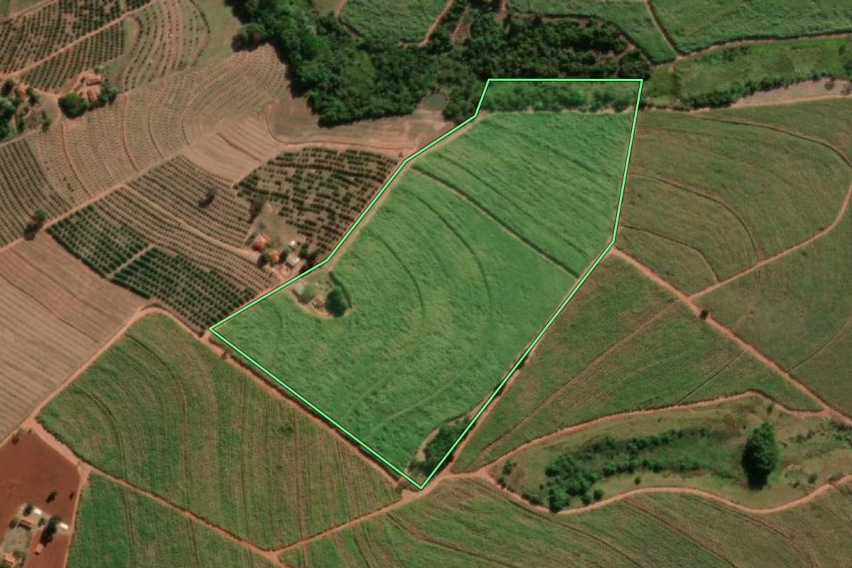 Imagem de satélite do imóvel rural em Taquaritinga (SP), com o contorno declarado no CAR desenhado por cima.