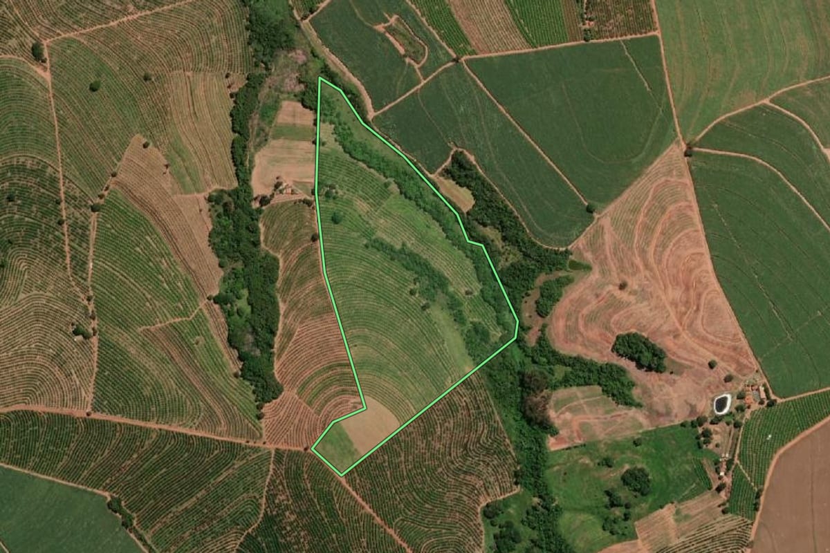 Imagem de satélite do imóvel rural em Taquaritinga (SP), com o contorno declarado no CAR desenhado por cima.