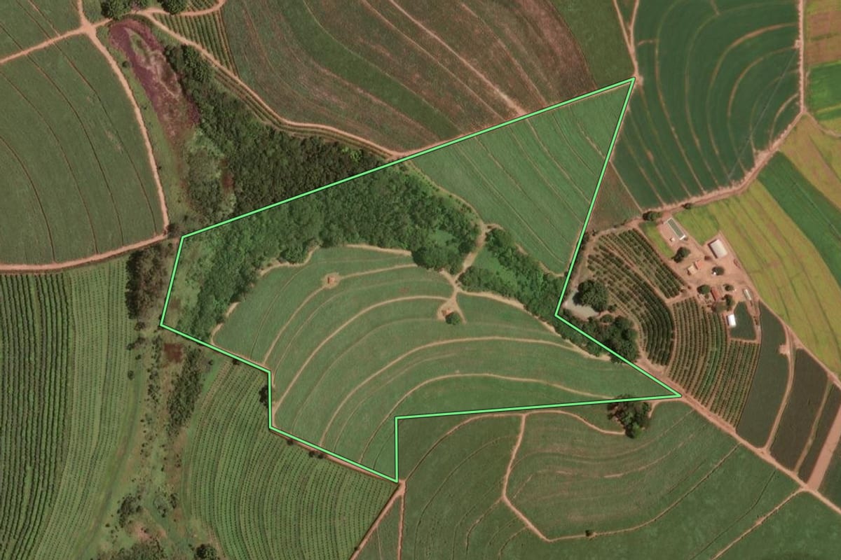 Imagem de satélite do imóvel rural em Taquaritinga (SP), com o contorno declarado no CAR desenhado por cima.