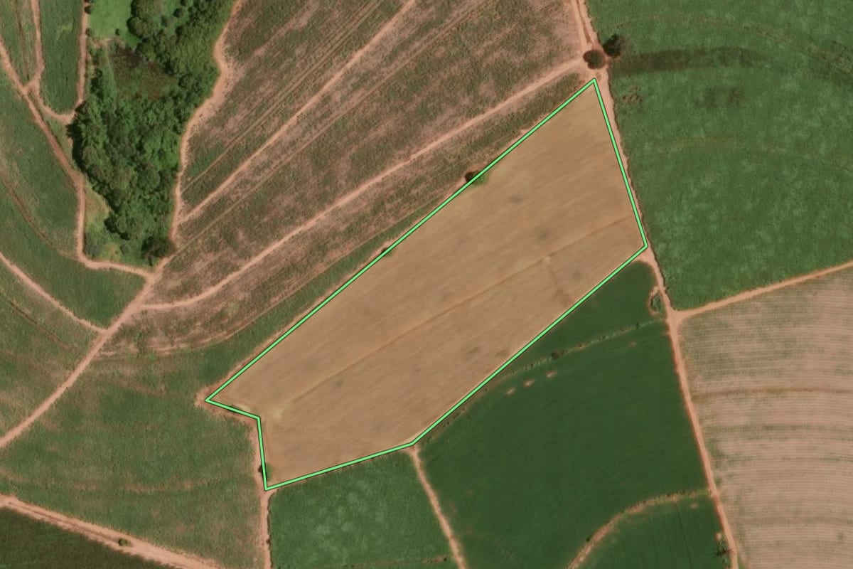 Imagem de satélite do imóvel rural em Taquaritinga (SP), com o contorno declarado no CAR desenhado por cima.