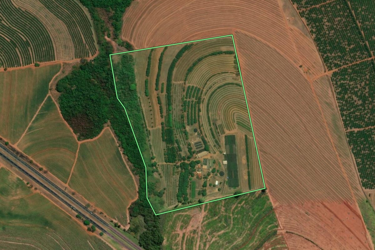 Imagem de satélite do imóvel rural em Taquaritinga (SP), com o contorno declarado no CAR desenhado por cima.