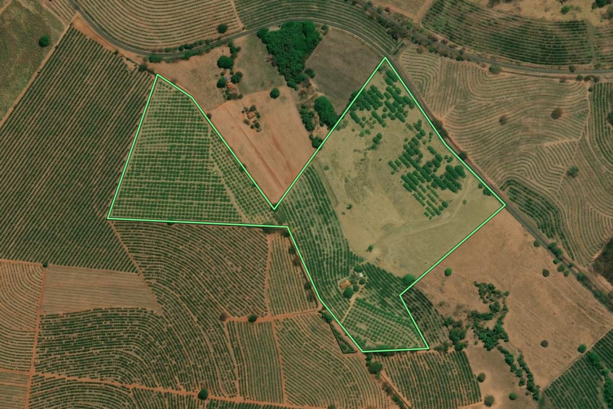 Imagem de satélite do imóvel rural em Taquaritinga (SP), com o contorno declarado no CAR desenhado por cima.