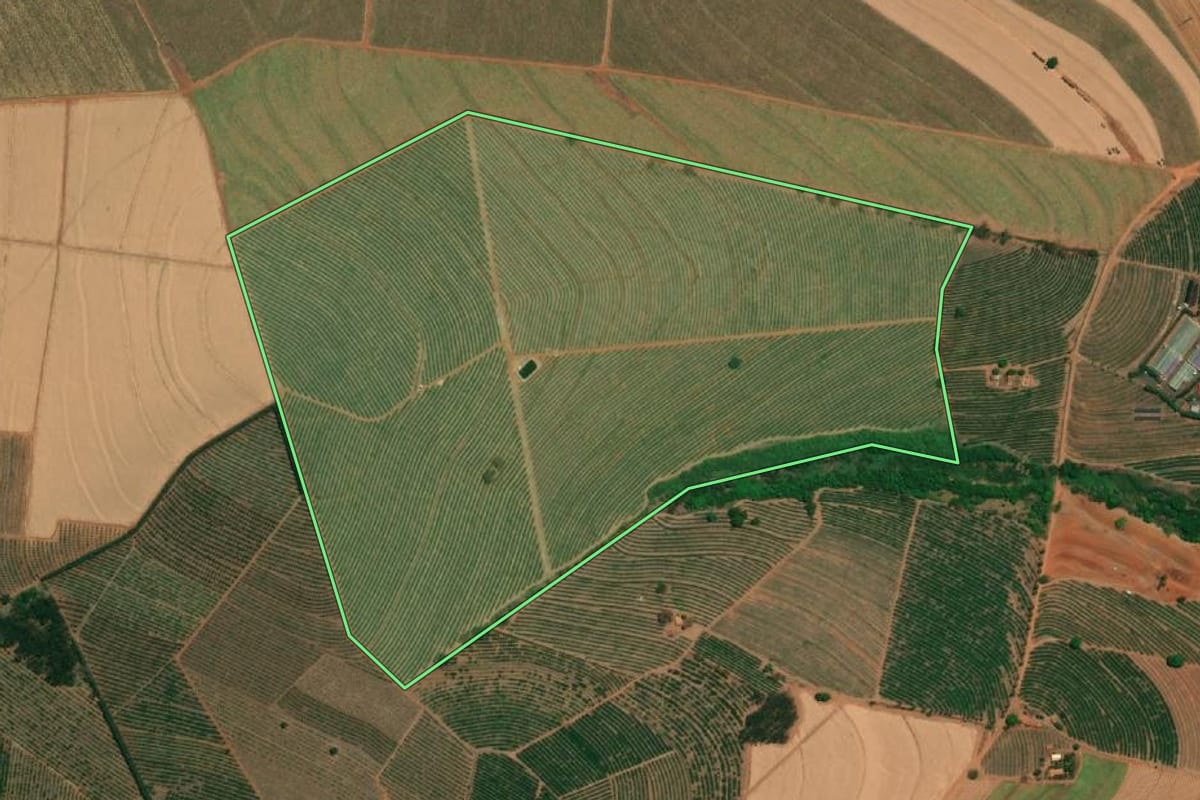 Imagem de satélite do imóvel rural em Taquaritinga (SP), com o contorno declarado no CAR desenhado por cima.