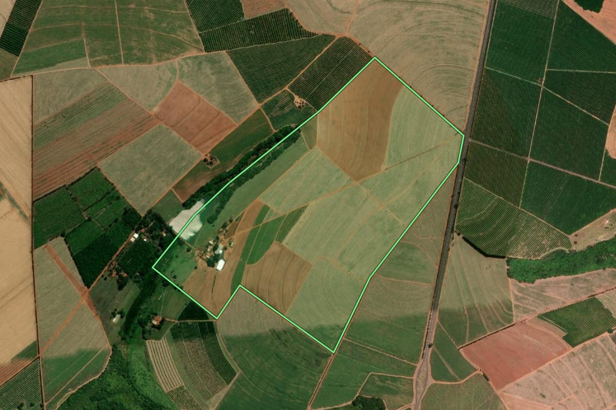Imagem de satélite do imóvel rural em Taquaritinga (SP), com o contorno declarado no CAR desenhado por cima.