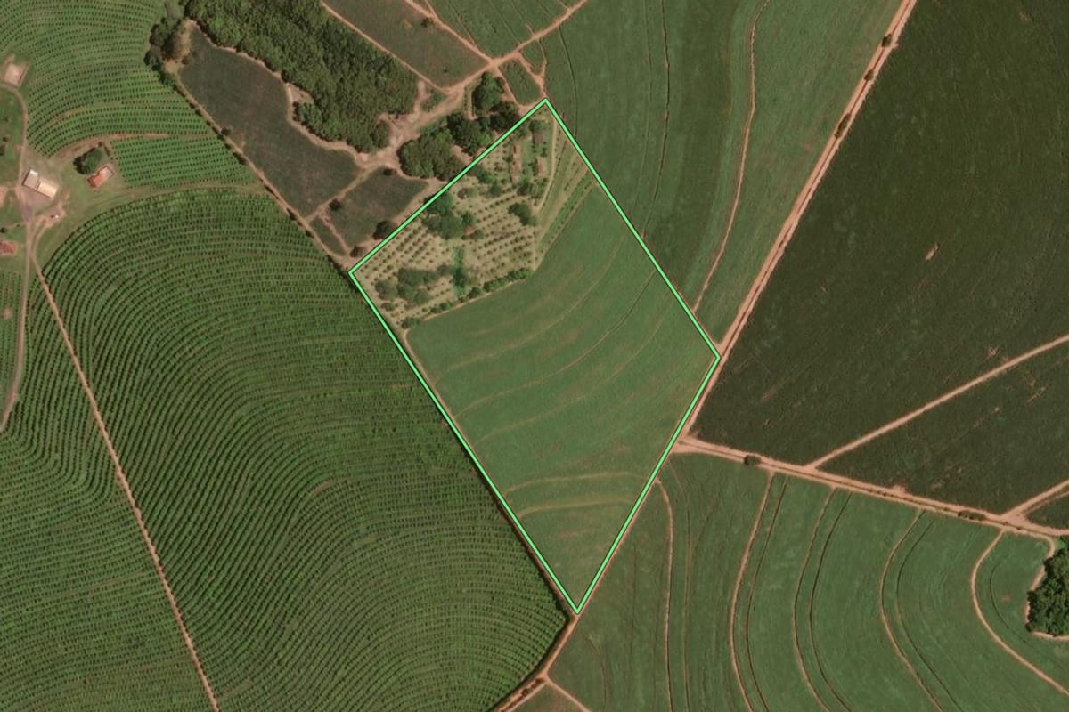 Imagem de satélite do imóvel rural em Taquaritinga (SP), com o contorno declarado no CAR desenhado por cima.