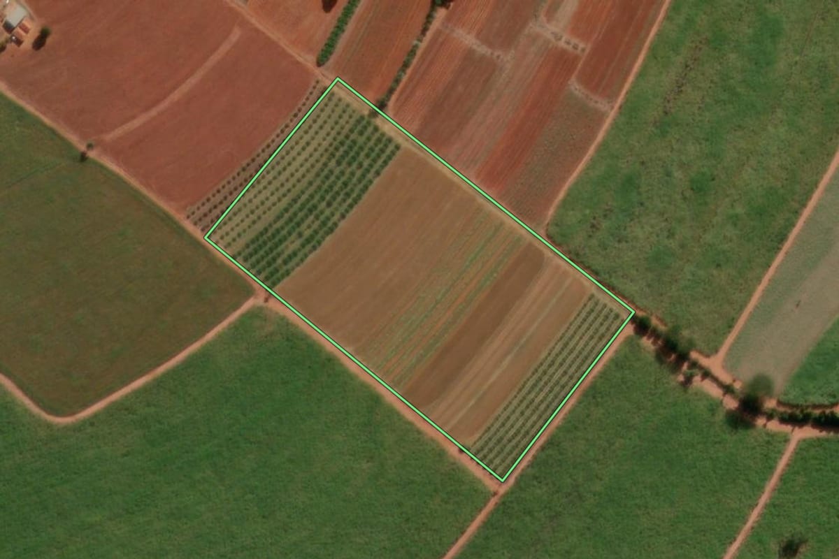Imagem de satélite do imóvel rural em Taquaritinga (SP), com o contorno declarado no CAR desenhado por cima.