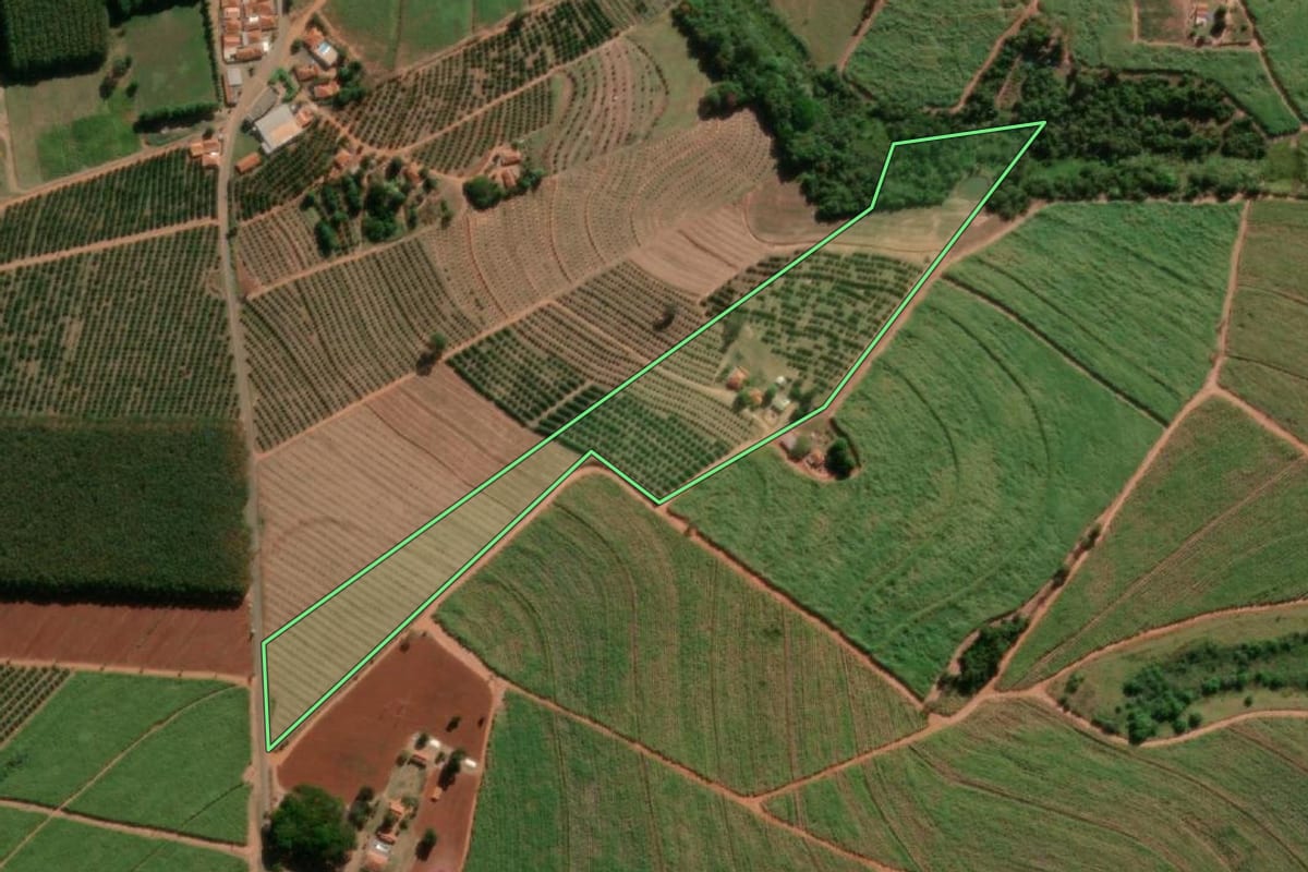 Imagem de satélite do imóvel rural em Taquaritinga (SP), com o contorno declarado no CAR desenhado por cima.