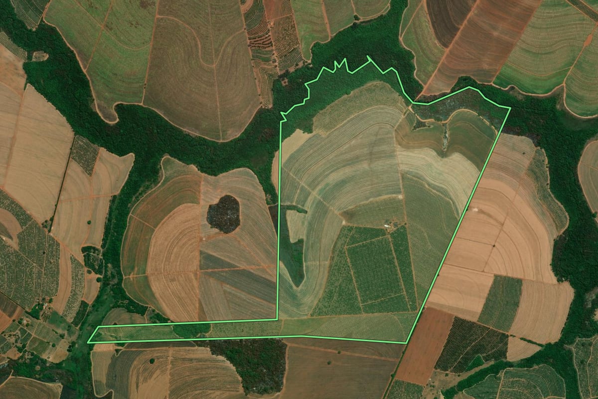 Imagem de satélite do imóvel rural em Taquaritinga (SP), com o contorno declarado no CAR desenhado por cima.