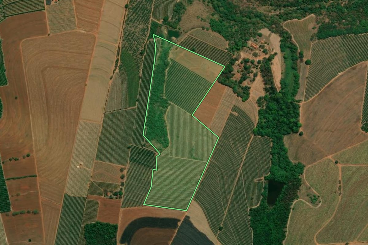 Imagem de satélite do imóvel rural em Taquaritinga (SP), com o contorno declarado no CAR desenhado por cima.