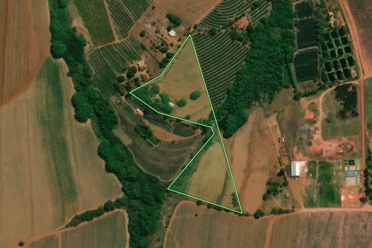 Imagem de satélite do imóvel rural em Taquaritinga (SP), com o contorno declarado no CAR desenhado por cima.