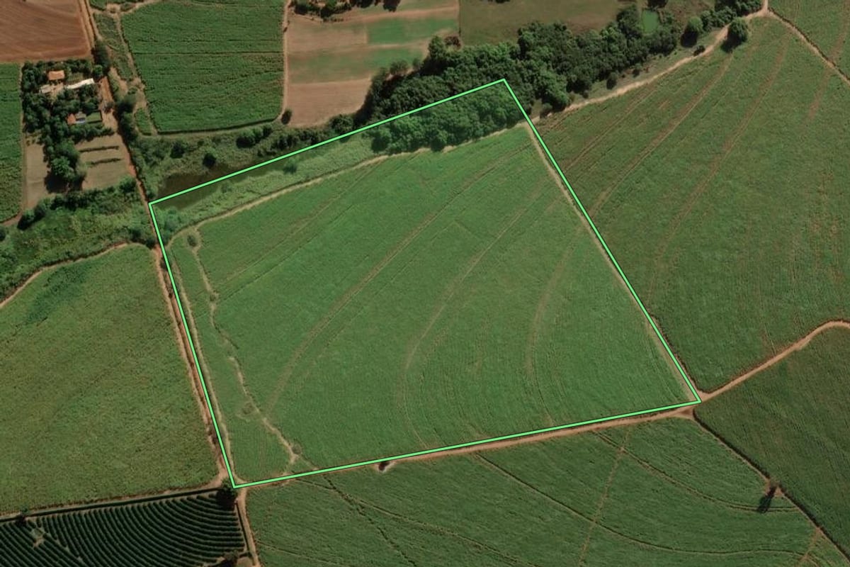 Imagem de satélite do imóvel rural em Taquaritinga (SP), com o contorno declarado no CAR desenhado por cima.