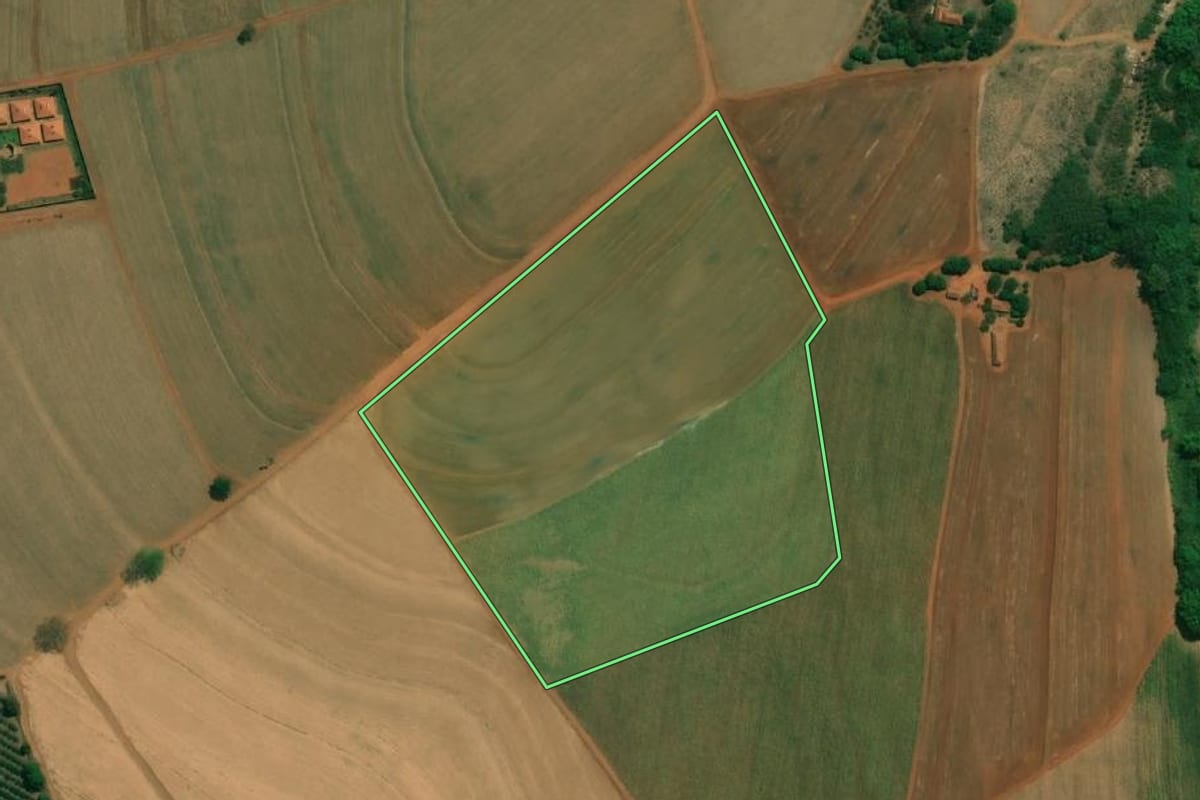 Imagem de satélite do imóvel rural em Taquaritinga (SP), com o contorno declarado no CAR desenhado por cima.
