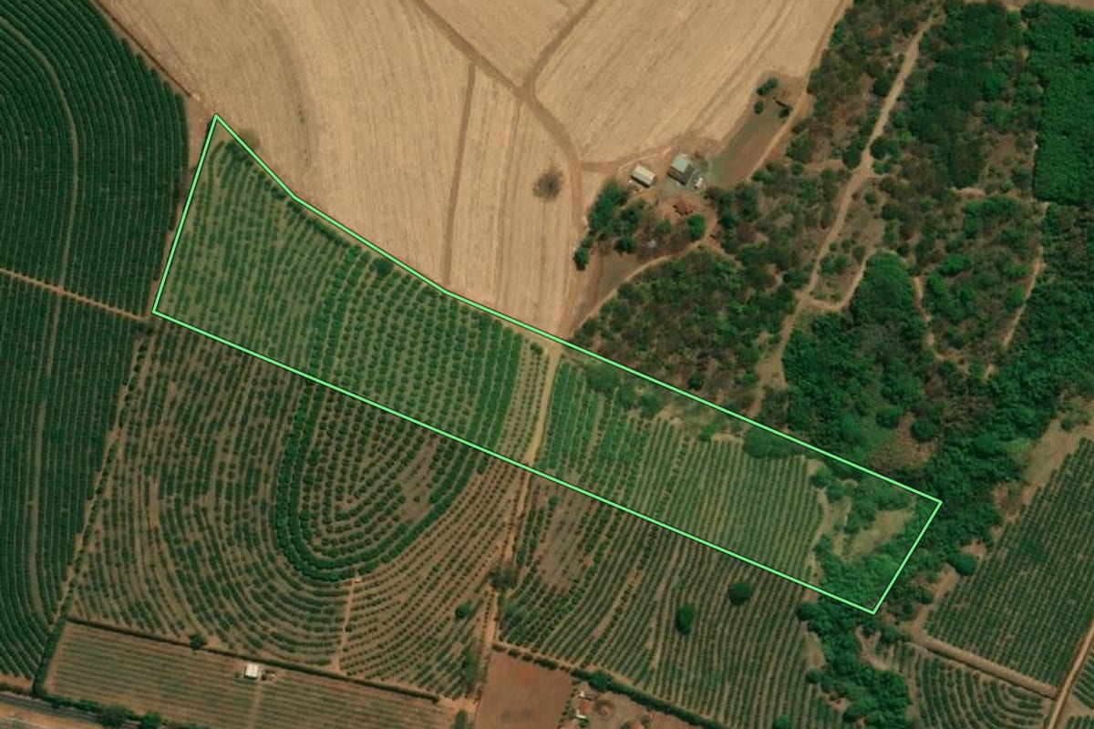 Imagem de satélite do imóvel rural em Taquaritinga (SP), com o contorno declarado no CAR desenhado por cima.