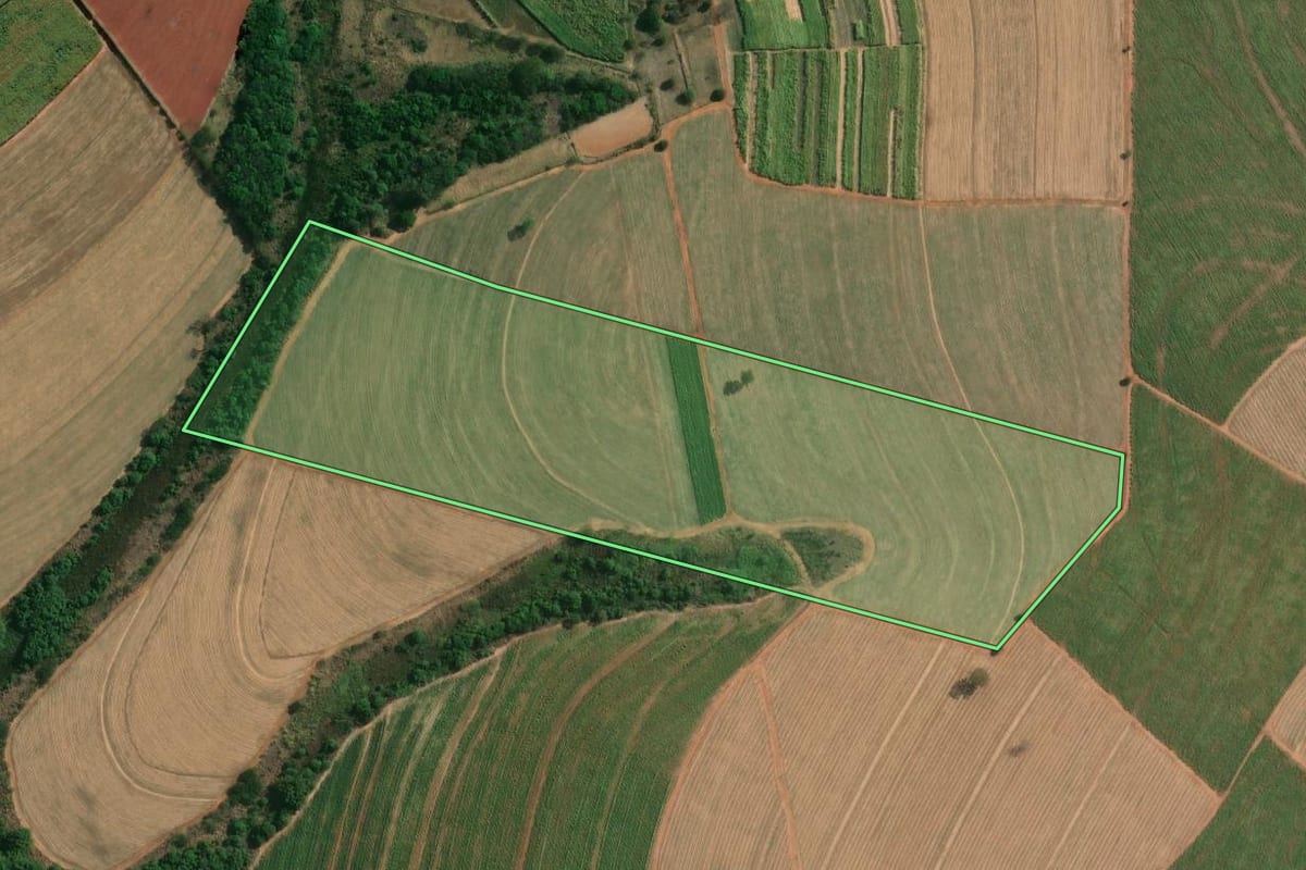 Imagem de satélite do imóvel rural em Taquaritinga (SP), com o contorno declarado no CAR desenhado por cima.