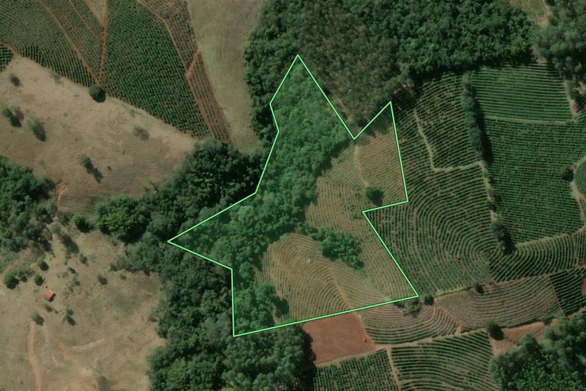 Imagem de satélite do imóvel rural em Taquarituba (SP), com o contorno declarado no CAR desenhado por cima.