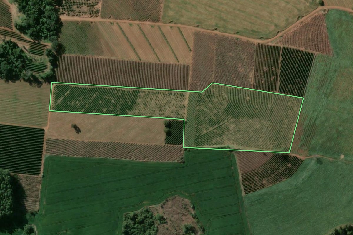 Imagem de satélite do imóvel rural em Taquarituba (SP), com o contorno declarado no CAR desenhado por cima.